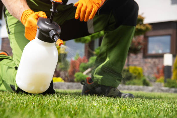 Best Pest Control Near Me in Jacksonville Beach, FL