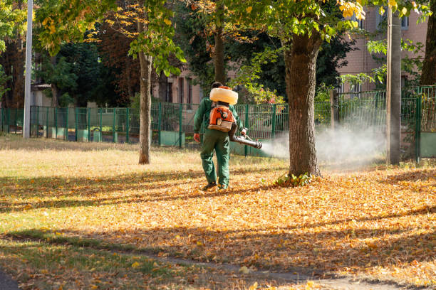 Best Local Pest Control Services  in Jacksonville Beach, FL